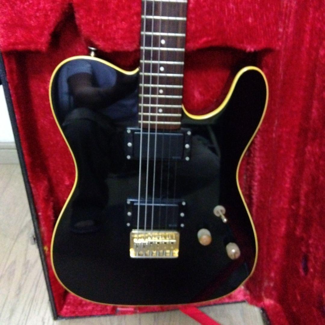 ムーン moon PGM テレキャスター　EMGハムバッキング　ワンオーナー