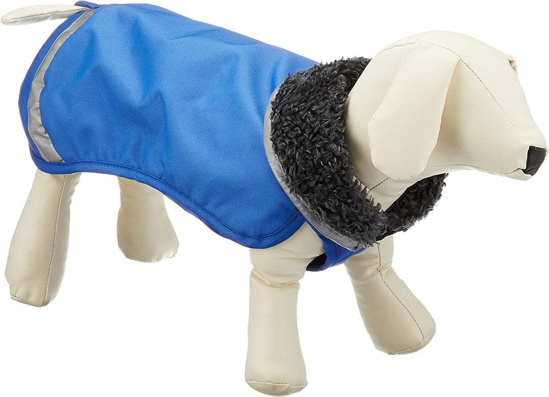 ポムッパ　ペルス　ペトロール　サイズ55