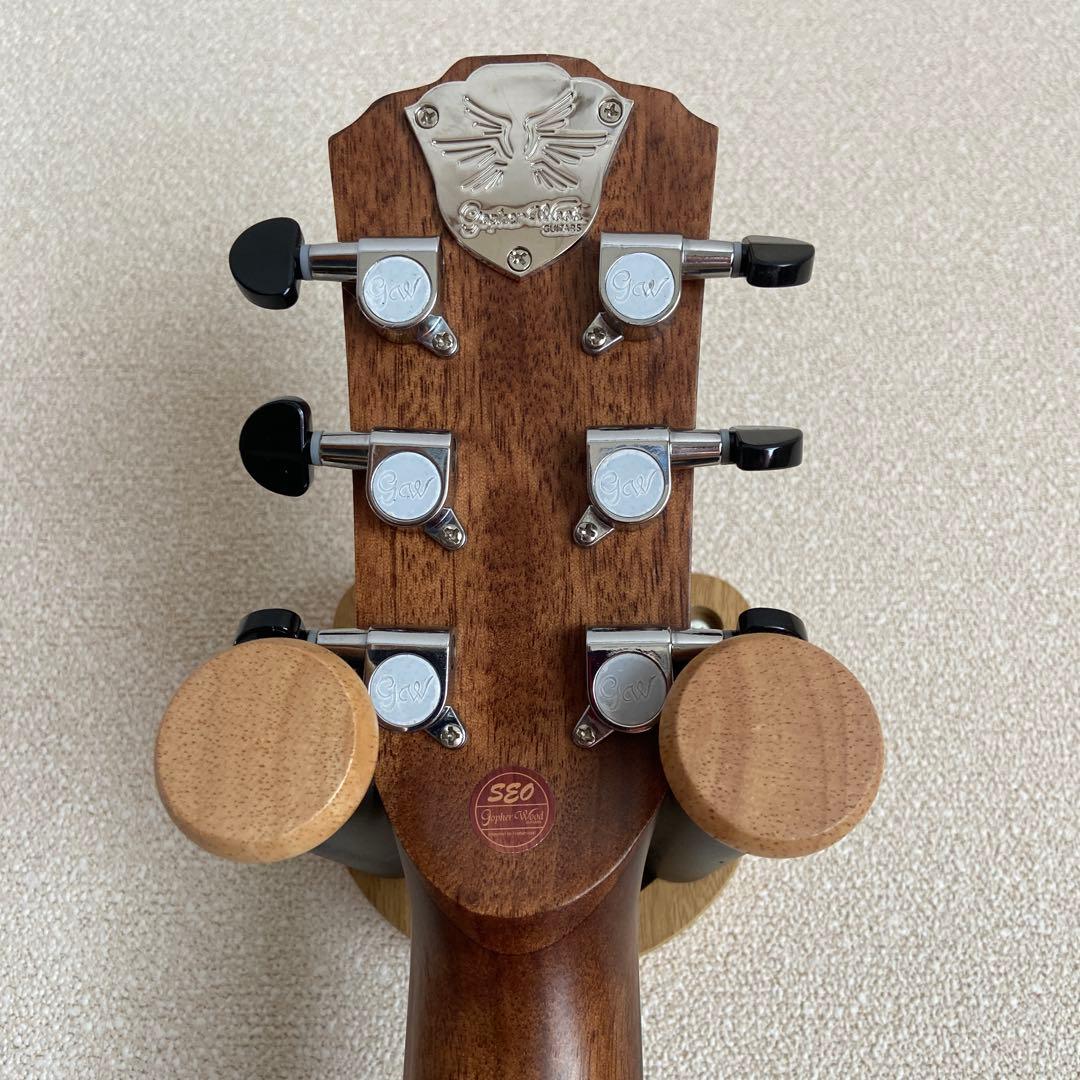 Gopher Wood i110SX　アコースティックギター　ゴフェルウッド
