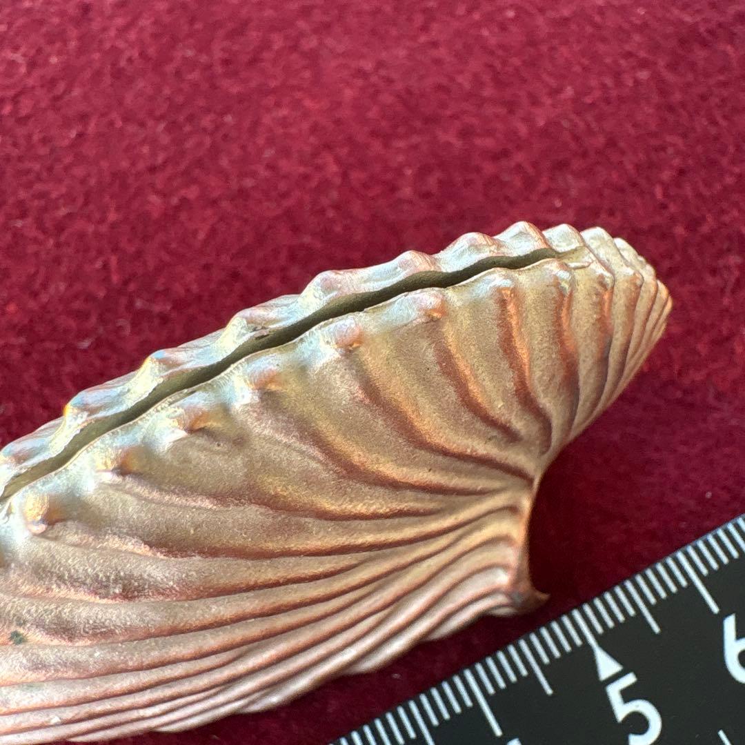 アトリエジュンコ シェル型カードスタンド 4個セット