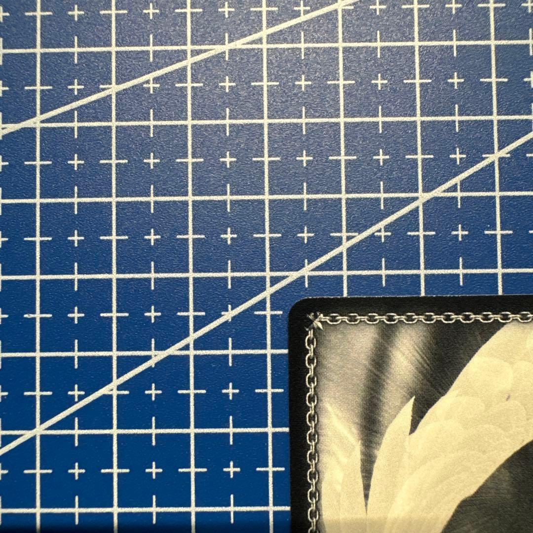 ヴァイス 貴族令嬢の幼馴染 ディア SP 角川スニーカー文庫 136