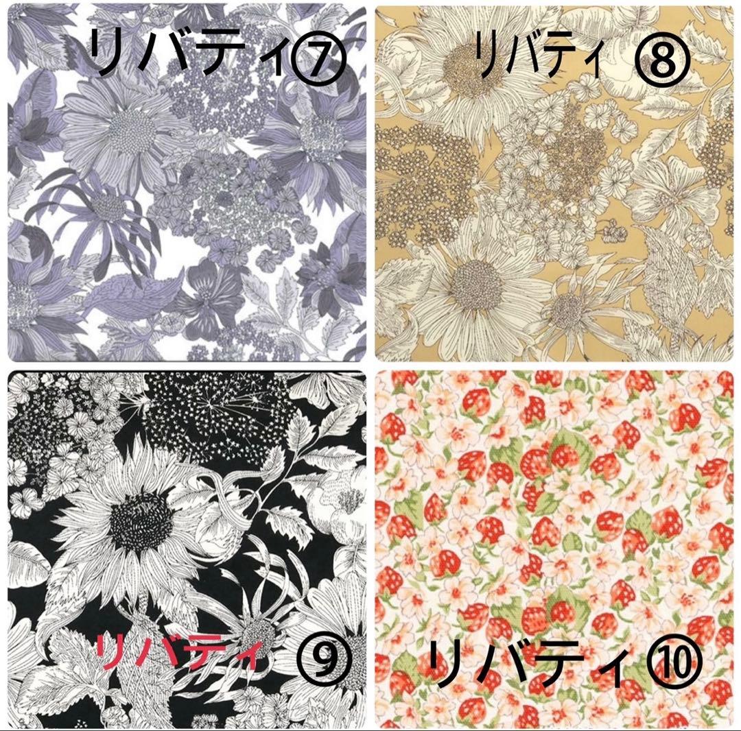 梨ページイジィデミニサイズクラシック25サイズバッグインバッグ