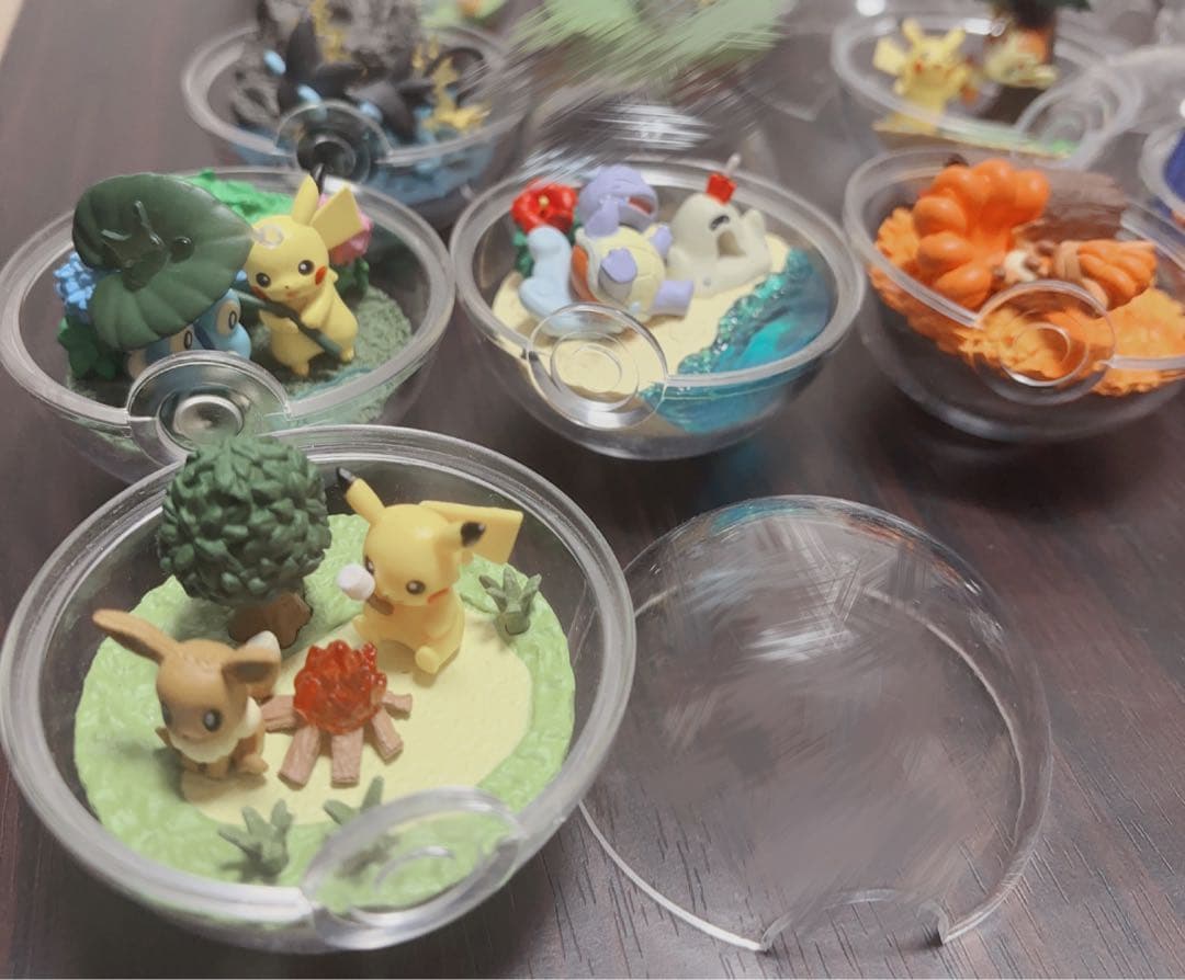 ポケモン テラリウム まとめ売り