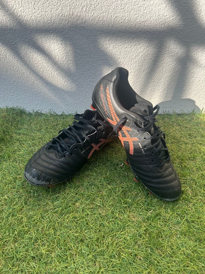 DS LIGHT X-FLY PRO 2 2足セット