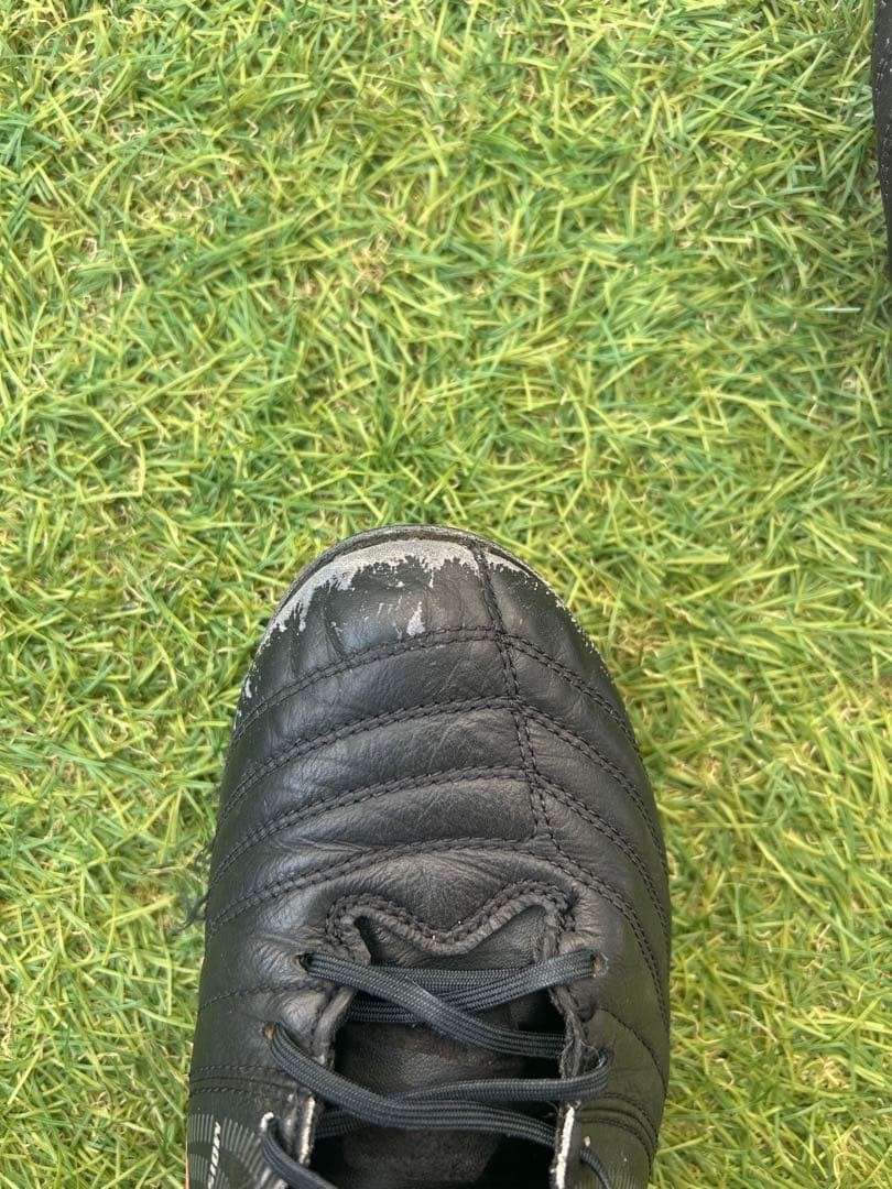 DS LIGHT X-FLY PRO 2 2足セット