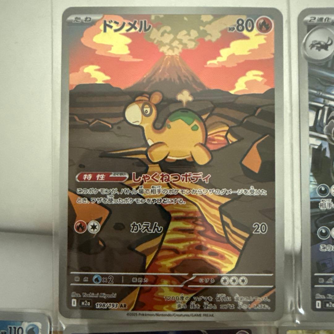 ポケモンカード NのゾロSAR初めその他AR