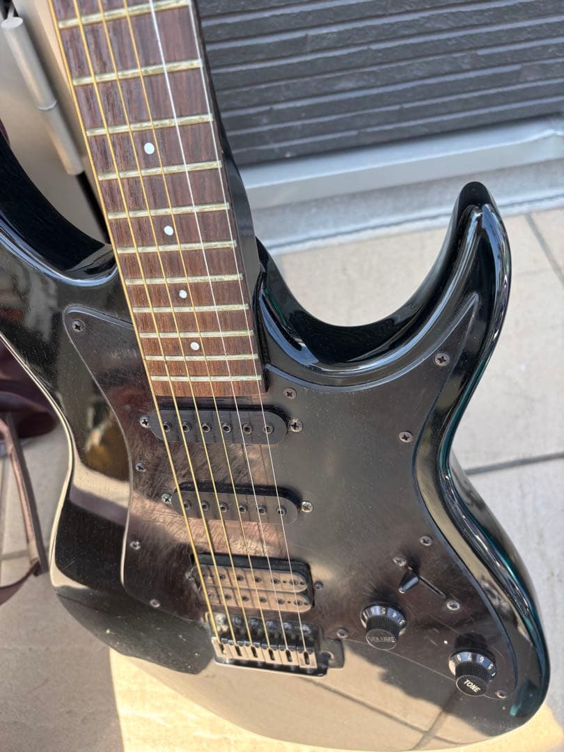 Black Dog by Aria pro Ⅱ