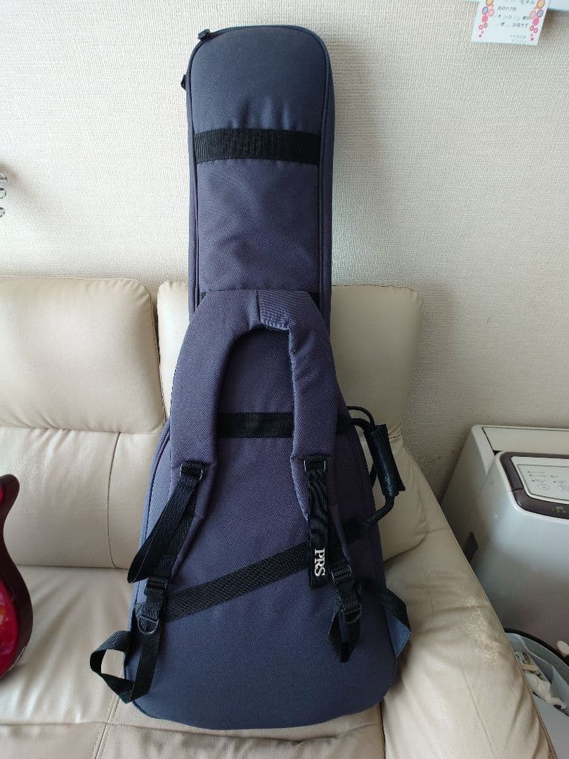 Paul Reed Smith(PRS) SE SoapbarⅡ