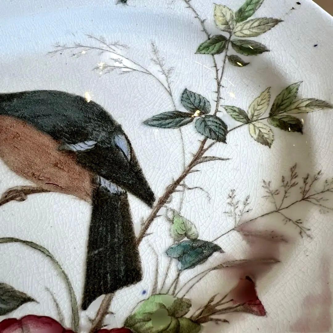 希少アンティーク　ジョン・モードロック・ロビン・プレート1800年代後半