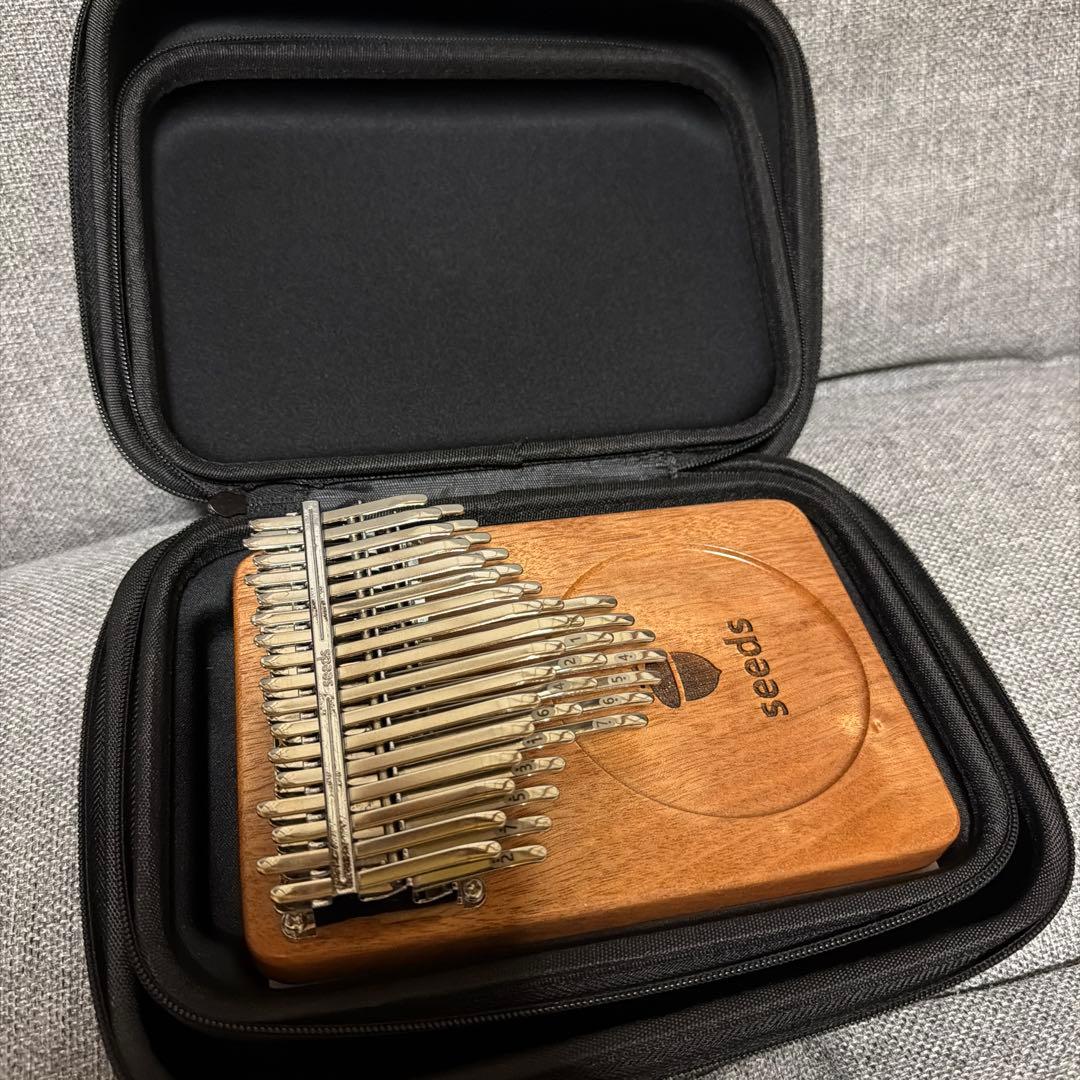 seeds 41キー　カリンバ ハードケース付き
