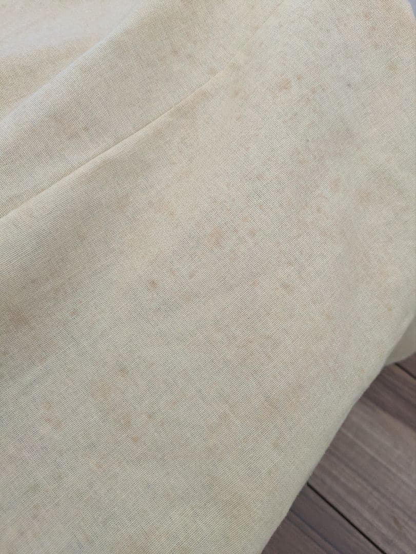 LOUISVUITTON　ペットキャリー