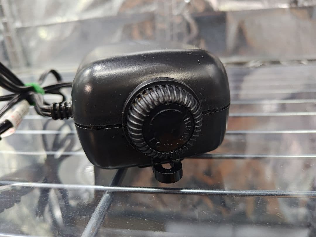 水耕栽培 セット（生体にも）