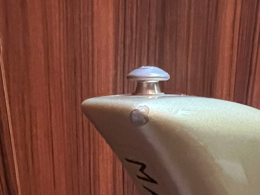 TOKAI Talbo 東海楽器タルボ アルミギター glay hisashi