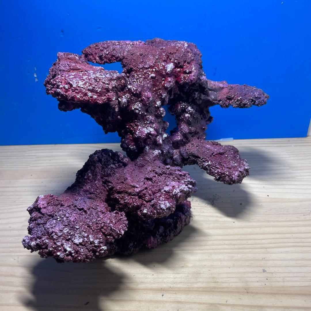 人工ライブロック　SHR06 アク抜き済み安心塗料使用