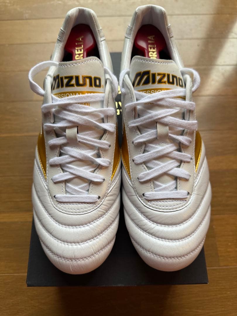 モレリア2Japan 26cm