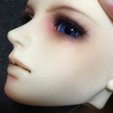 SD17 アラン 1st ヘッド