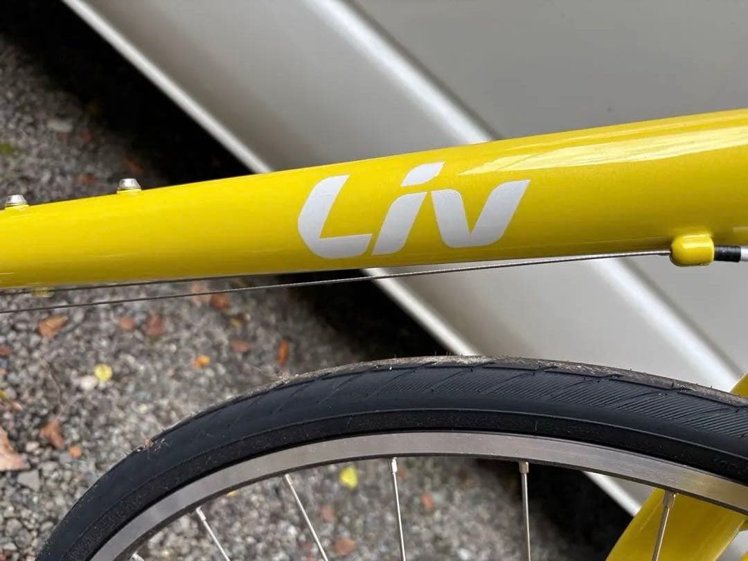 お取引中！未使用ジャイアント「ESCAPE R3 W LTD」