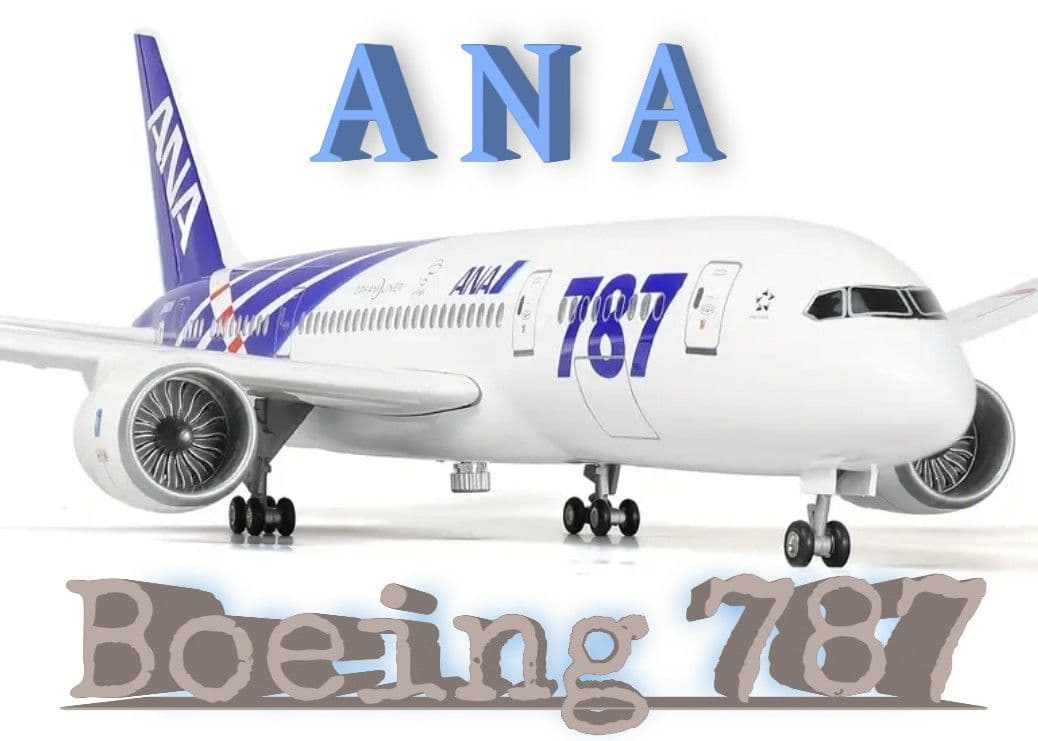 るぅさん専用SALE！Boeing787/ANA 1/150