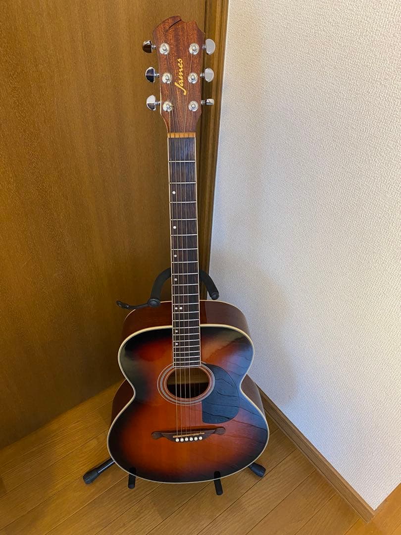 James JF-350WBアコースティックギター