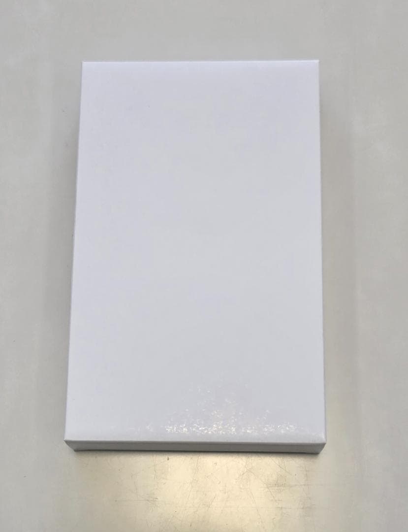 【人気】【希少】ウォーターマン　チャールストン　シルバー　ボールペン