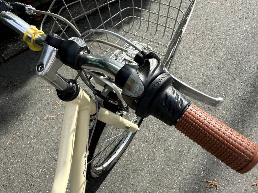 【コーダブルーム Asson J22／22インチ】マットグレーベージュ