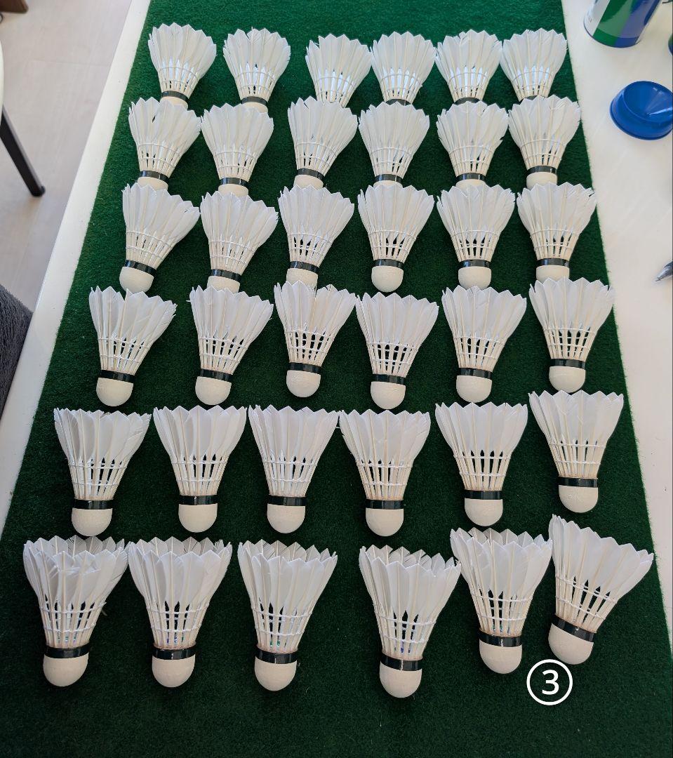 NEW OFFICIAL F4 10ダース