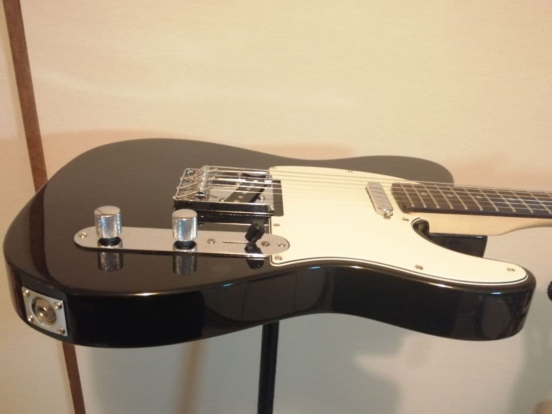 【生産終了品】Bacchus universe series テレキャスター