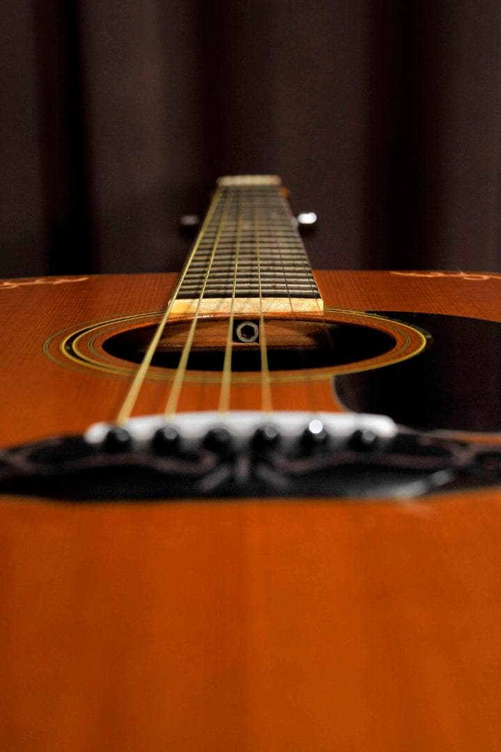 ★MORRIS Wシリーズ　ストリートミュージシャンに贈る舞台【彫刻装飾ギター】