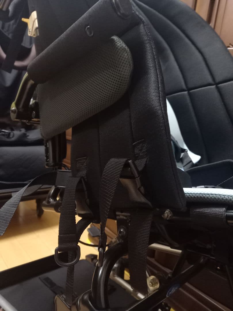 ピグレオティルト３　介助用バギー 黒と水色