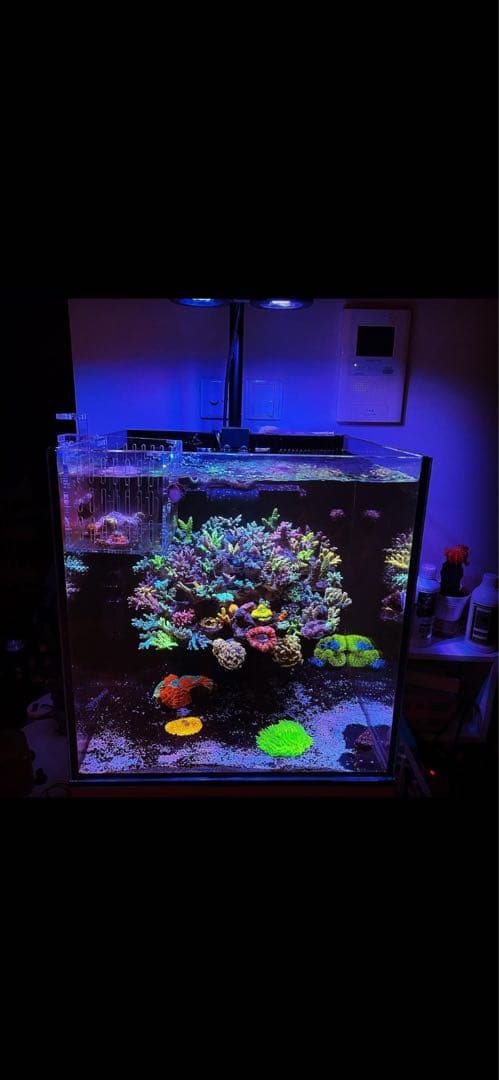 アクアリウム　ライト　illumagic LED Light X4