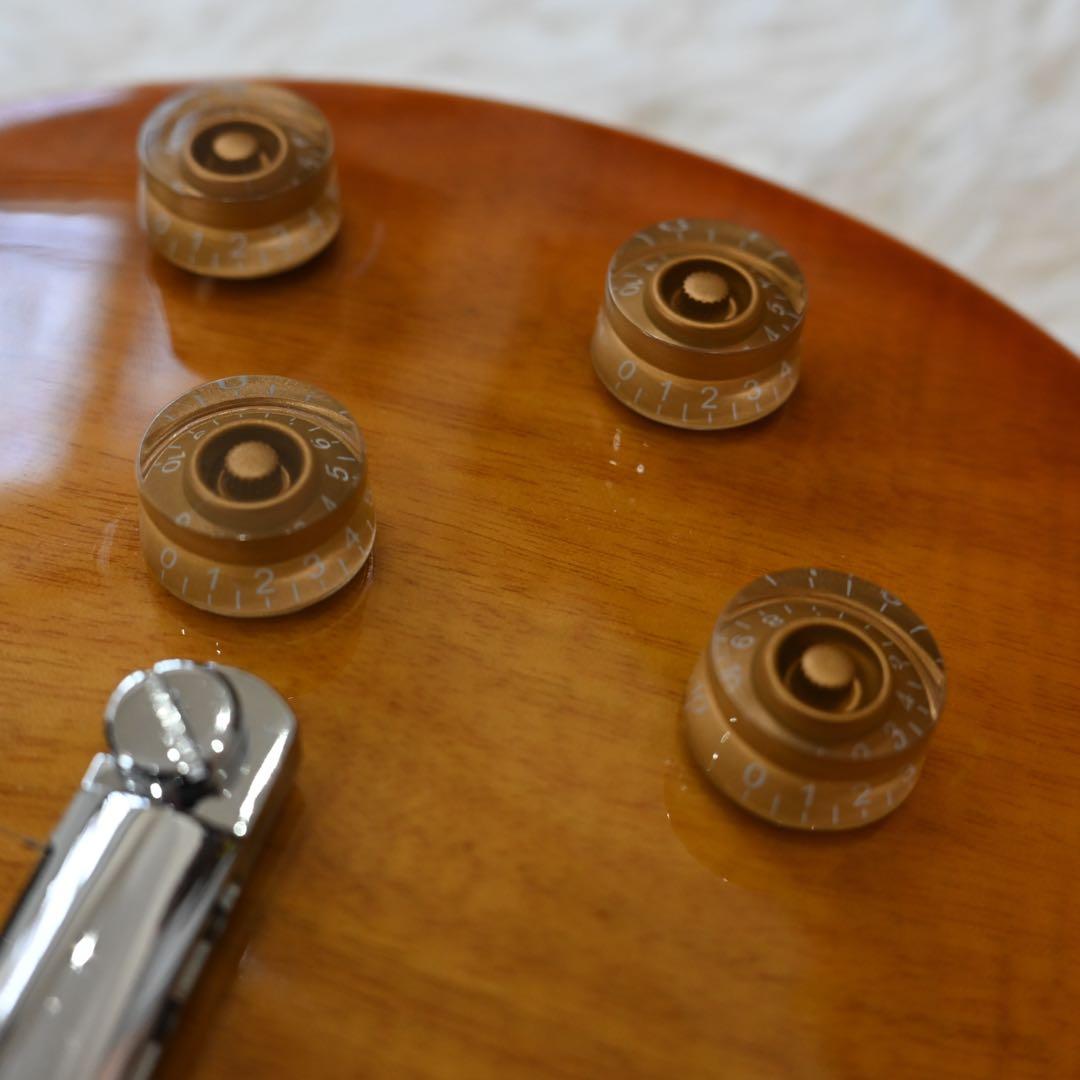 バッカス　レスポールスタンダードタイプ　ソフトケース付き