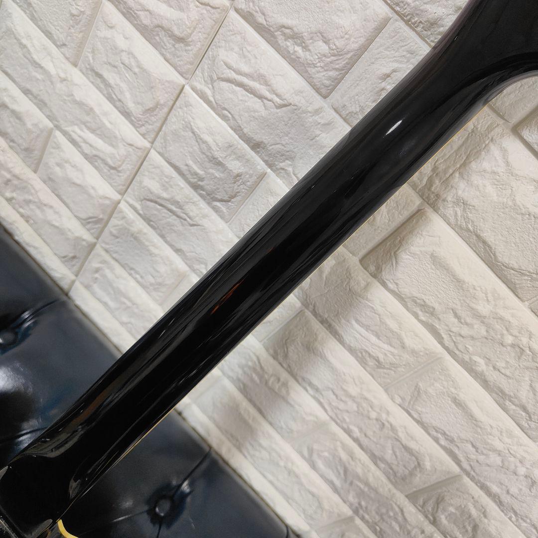 FERNANDES TEJ-STD LIMITED EDITION 布袋