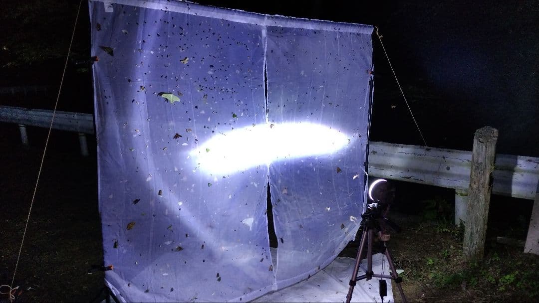 HIDライトトラップお作りします★紫外線放出加工済★連絡用