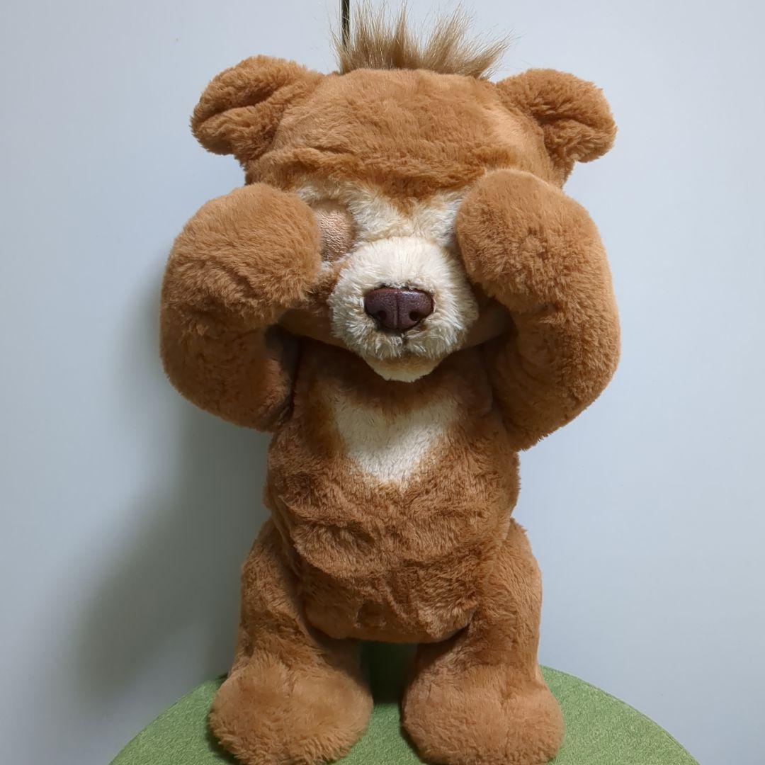 ファーリアル　こぐまのカビー