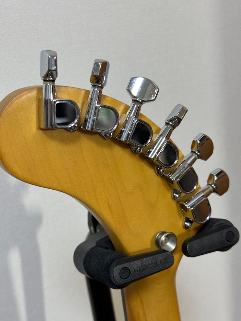 FERNANDES ZO-3 ぞーさん 純正ソフトケース付き