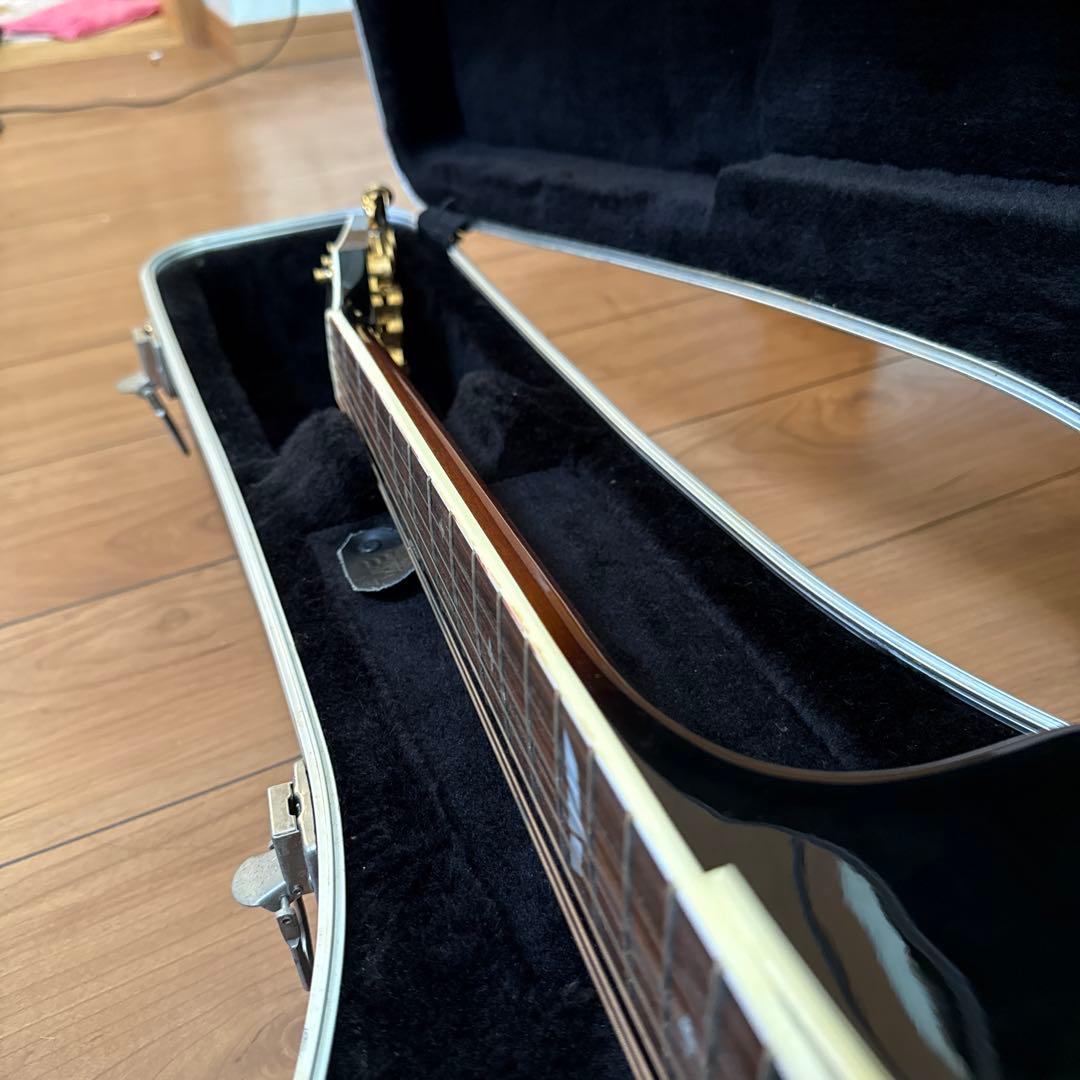 ギター Takamine DSP-110