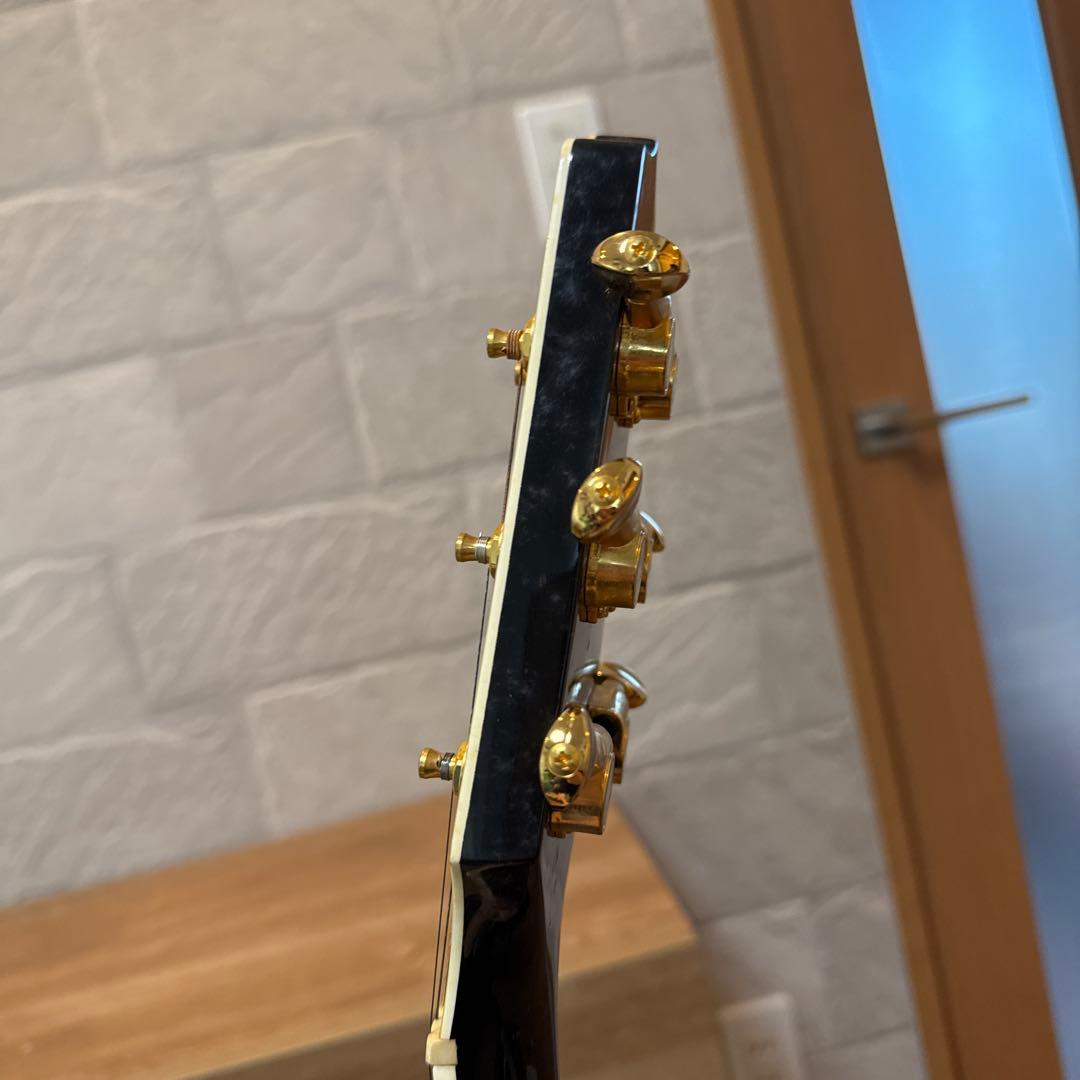 ギター Takamine DSP-110