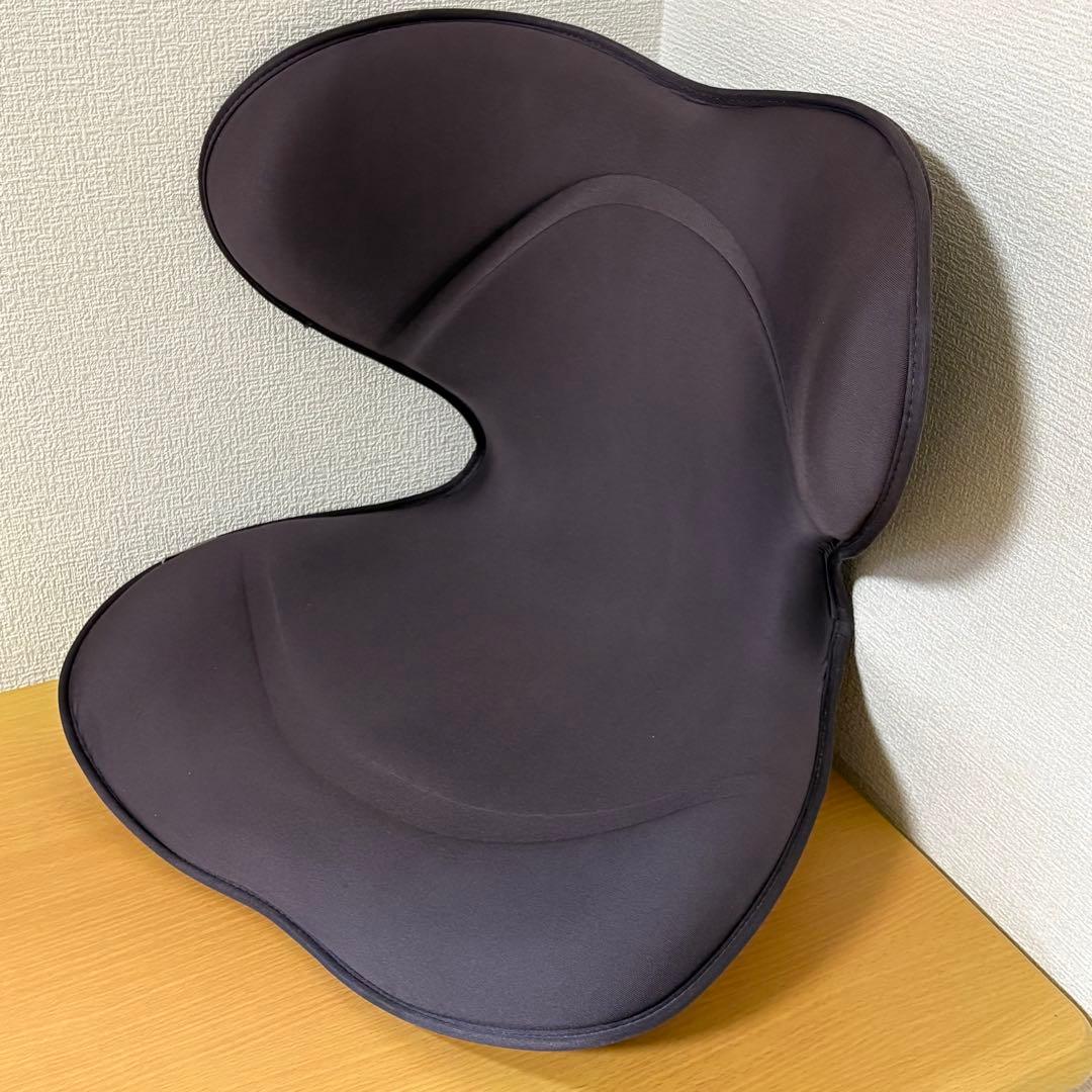 MTG StyIe SMART スタイル スマート 骨盤 姿勢 矯正 ブラウン