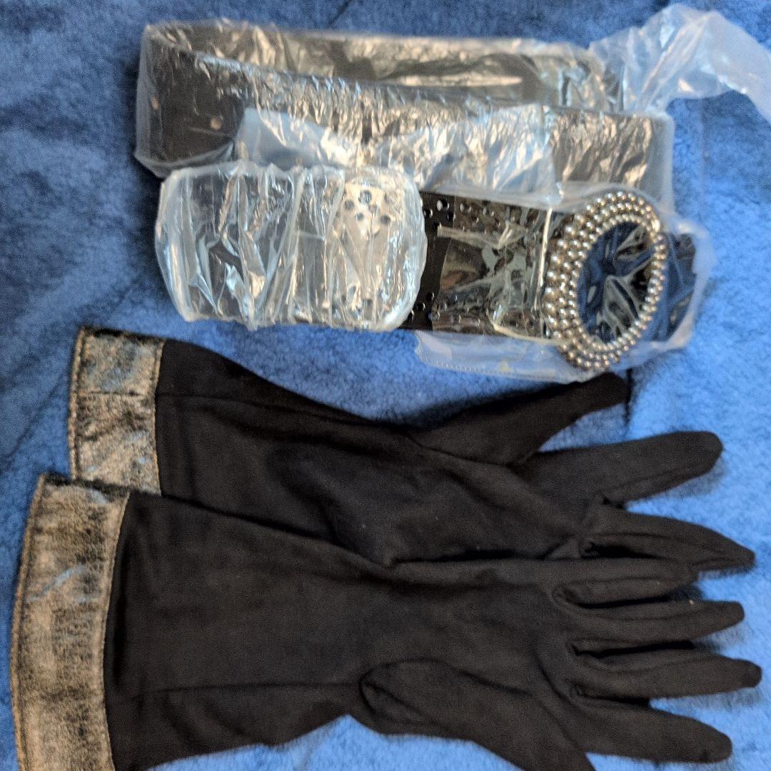 Secret honey カサンドラ 衣装セット コスプレ Dハロ ラプンツェル