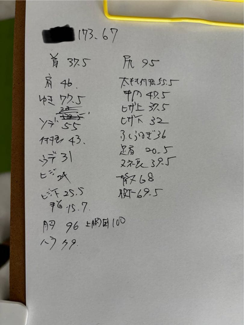 SALTCREEK POINT model ウェットスーツ