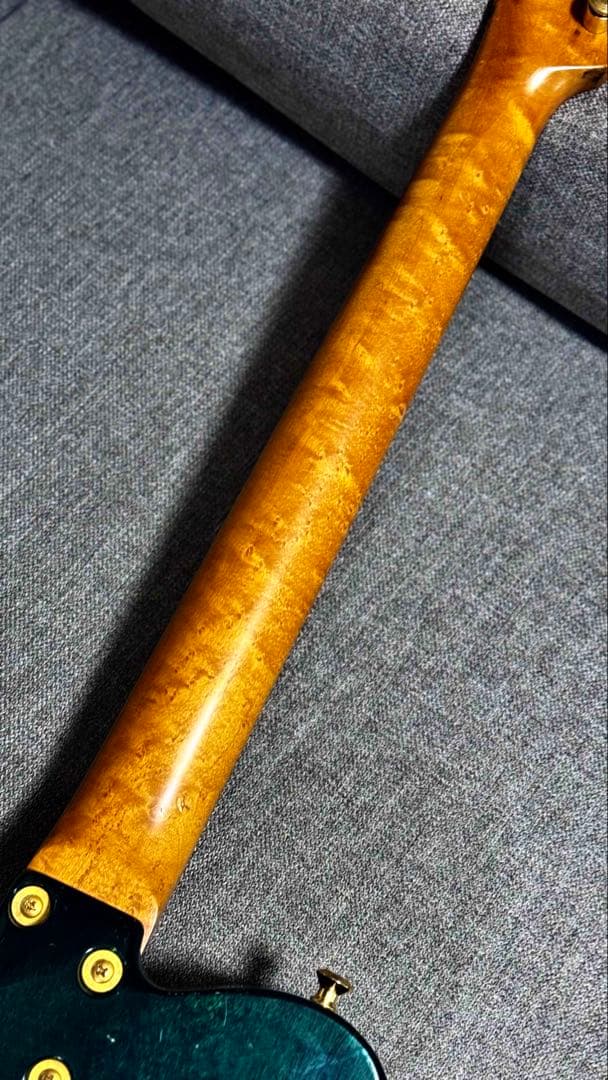 Flames フレイムス テレキャスターシンライン 国産工房製ギターハンドメイド