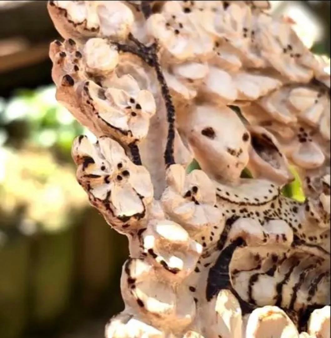 木彫りの、花とウサギさん