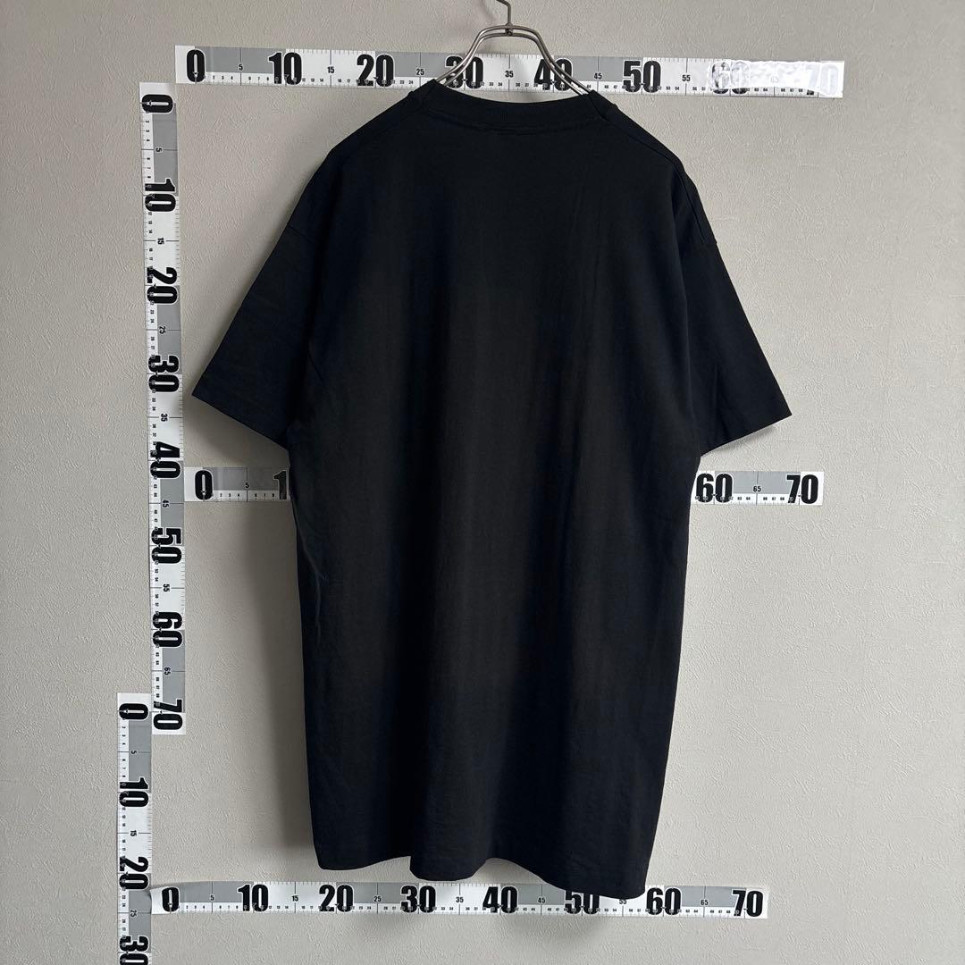 サンフランシスコ49ers NFLNUTMEG USA製 1995年TシャツXL