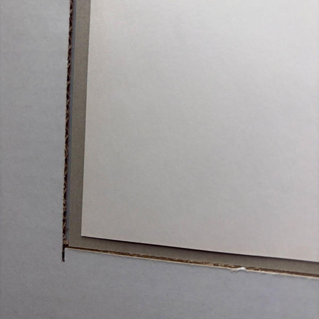 林原めぐみ直筆サイン色紙　エヴァンゲリオン綾波レイイラスト(額縁付き)