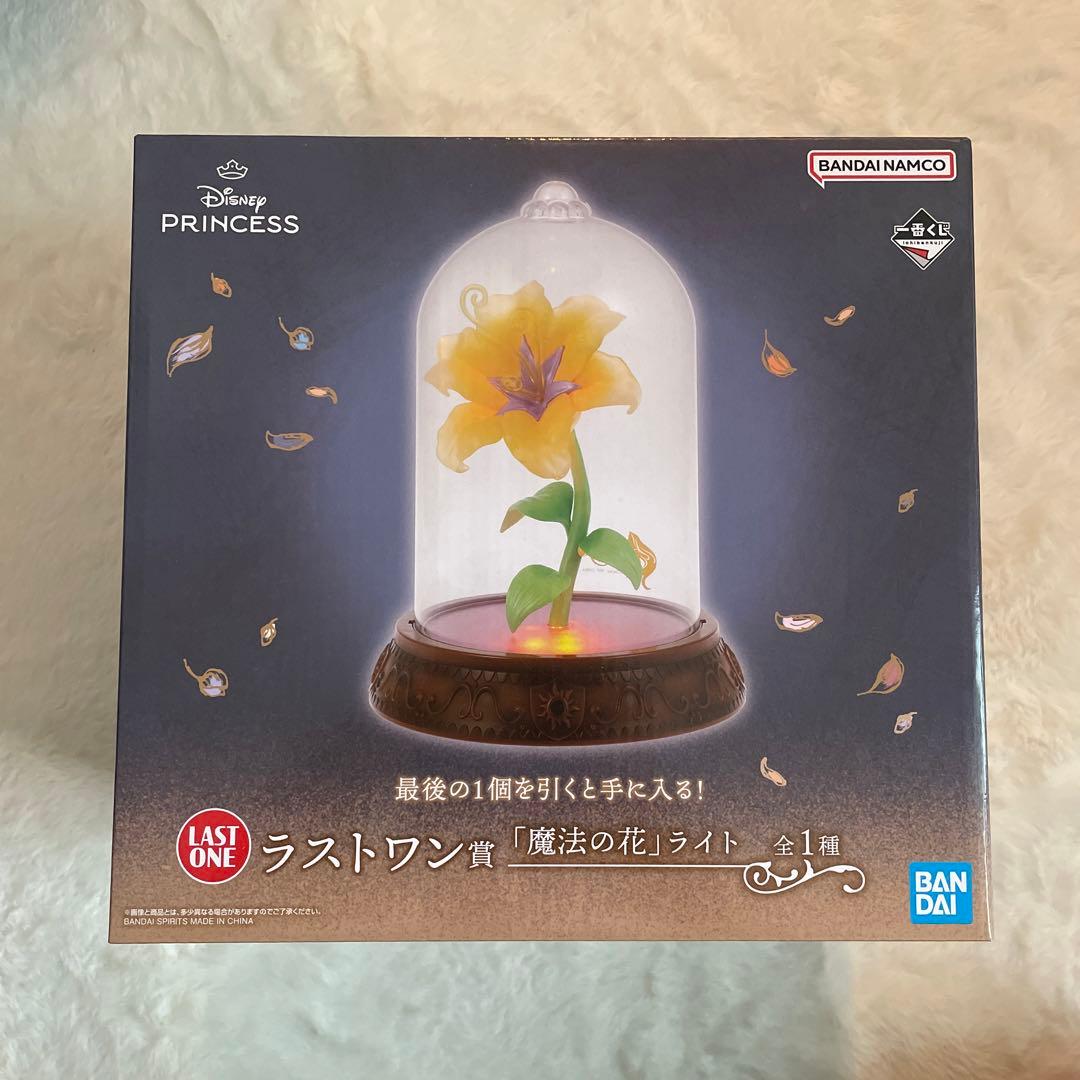 ディズニープリンセス 魔法の花ライトとミニキャンバスボード セット