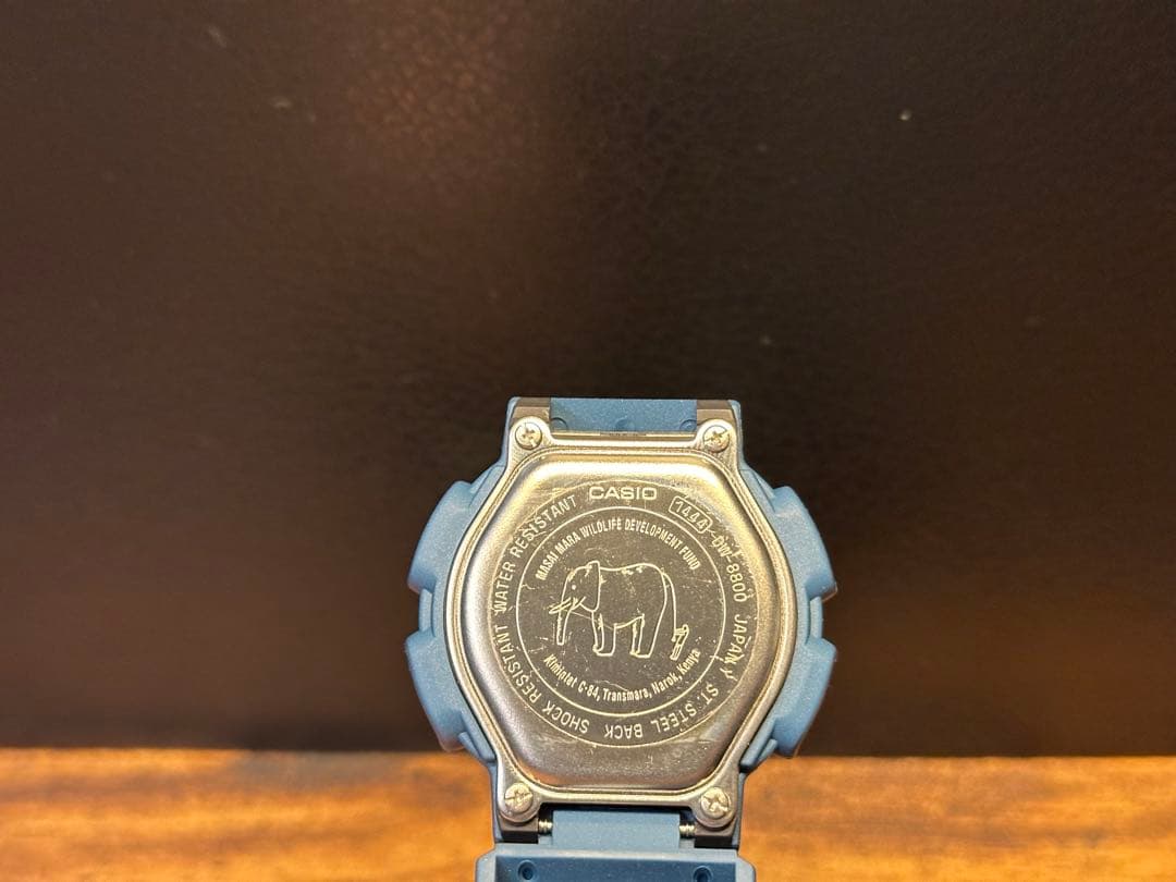 CASIO G-SHOCK DW-8800 マサイマラ(ヌー) 迷彩