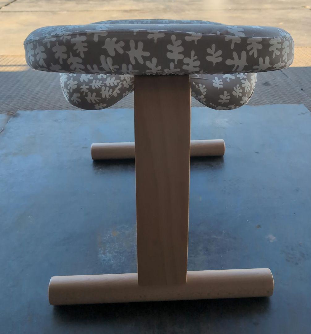 中古美品、バランスイージーミントグリン座面カバー付き