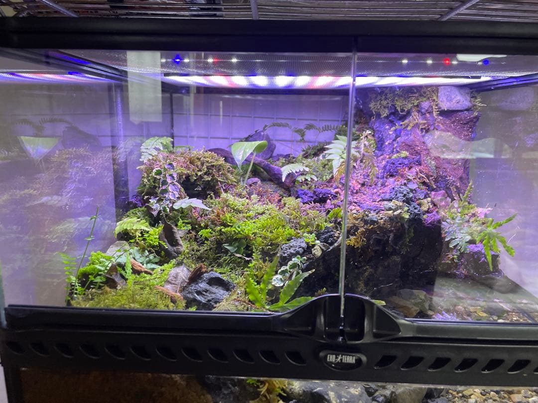 【受注生産】アクアテラリウム、イモリウム