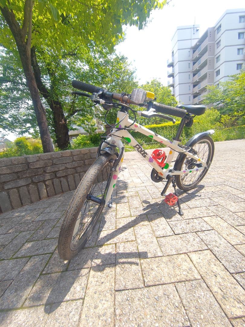 【希少品】フロッグバイク Frog 52 20インチ