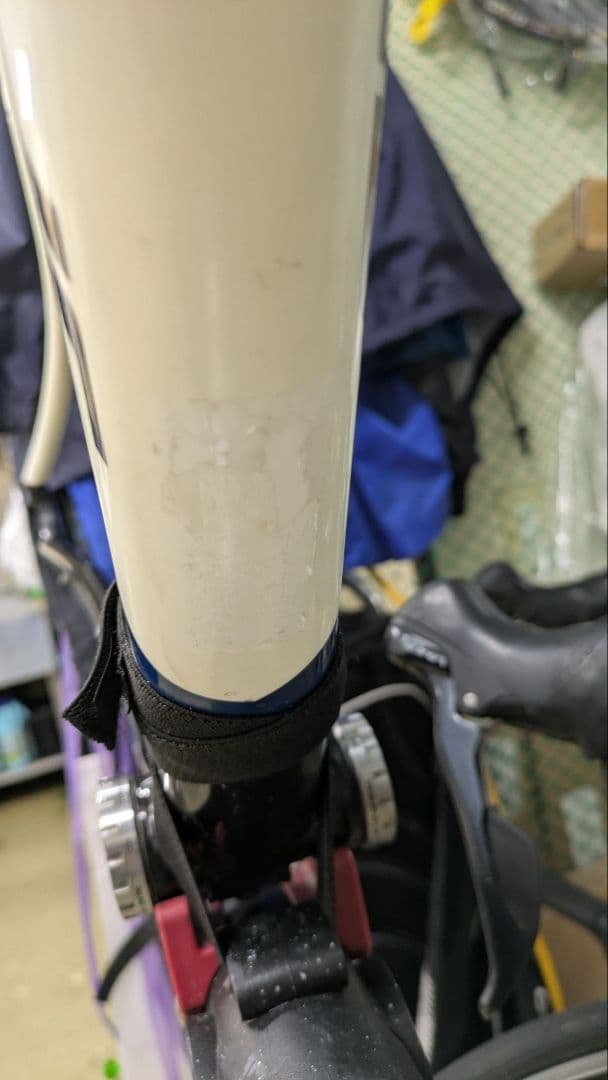 アレーエリート　サイズ56cm